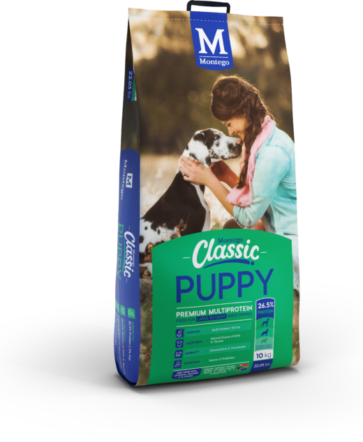 Montego Classic Puppy L/B