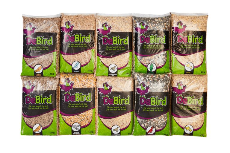 Chico Aquatic Pet City