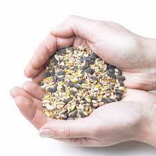 Bird Seed